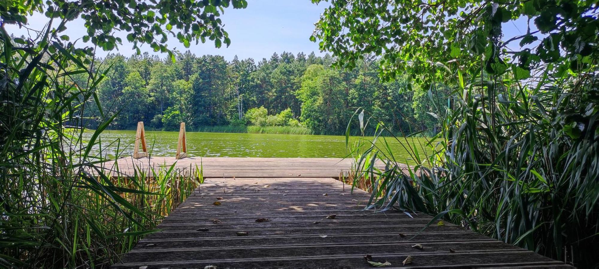 Domek Letniskowy Nad Mrowinkiem Villa Rybakowo Eksteriør billede